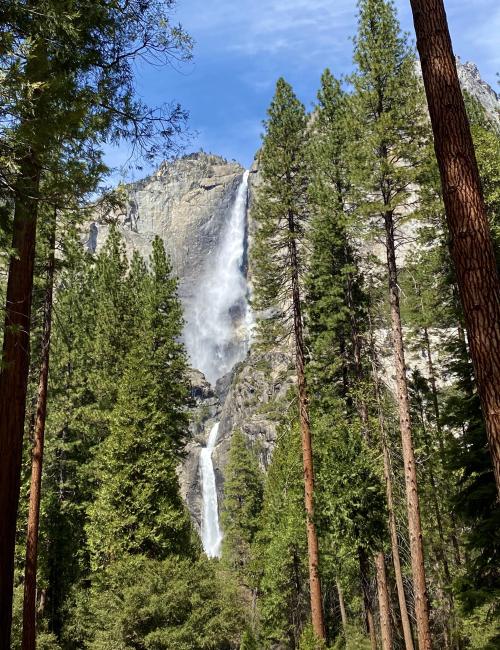oneshotolive: Majestic Yosemite Falls, California [OC][4032x3024] : Mrpetasus