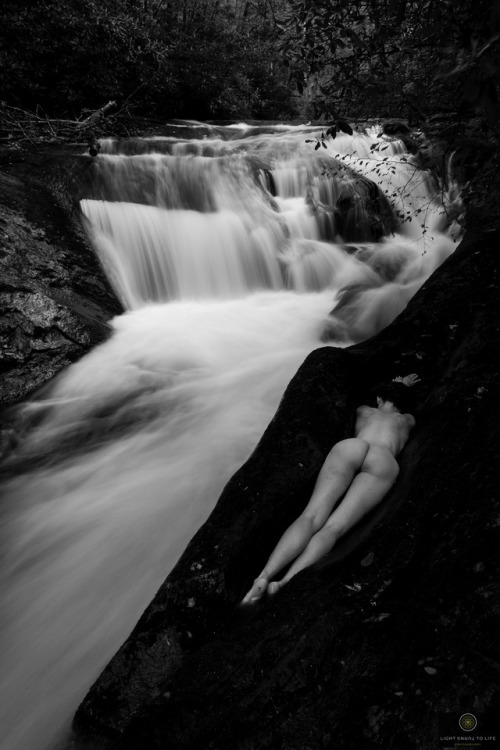 Slow exposure next to a stream in north Georgia with Spark. Copyright Light Turns to Life Photograph