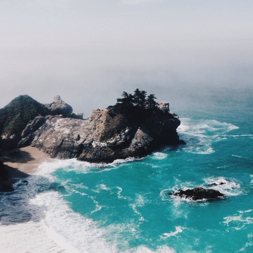 tumblr photo refocuses 0