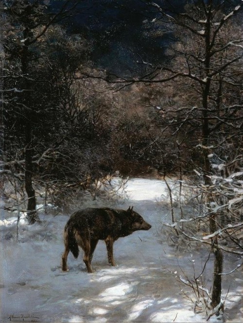 art-and-things-of-beauty:Alfred Wierusz-Kowalski (Polish, 1849-1915) - A wolf in a snowy evening for