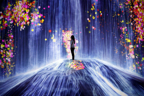 archatlas:    From The Inside Of The New Digital Art Museum In Tokyo These incredible photos show what it looks like inside a groundbreaking new digital art museum in Japan. A trip to the Mori Building Digital Art Museum: teamLab Borderless in Tokyo,