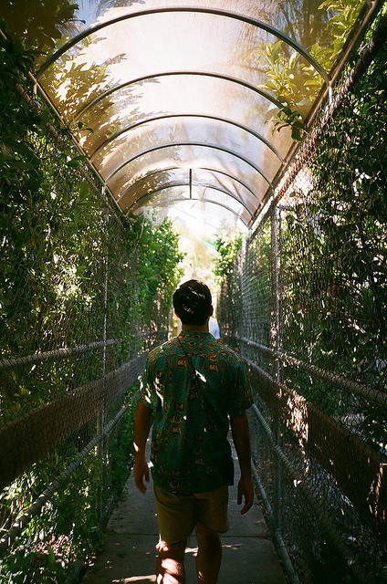 dianostalgico:  vintage photographs