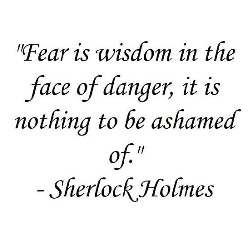 Fear Is Wisdom In The Face Of Danger, It Is Nothing To Be Ashamed Of.
