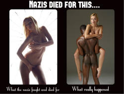 piratematie:  The sweet irony of history. Certainly the Nazis would be rolling in their graves to see what Europe has today become. Aryan beauties that they fought so hard to protect from the negro male are now actively seeking out the very same negro