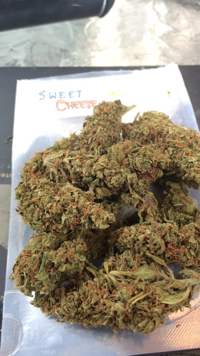notoriouskush420:  Sweet cheese. Hybrid Sativa dominate 60/40☺️