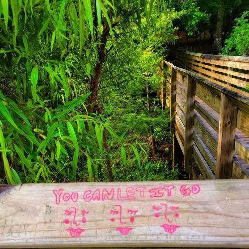 “You can let it go.”#teenwisdom #graffitiart #graffiti #grafitti #grafittiart #jungle 