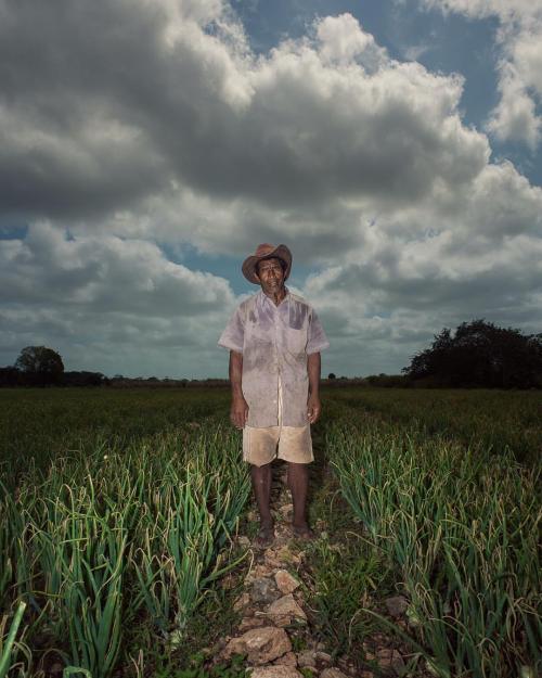 Chino-John in his #onion #field #calcutta #corozal #belize #foammagazine #lucecurated #newtopograph