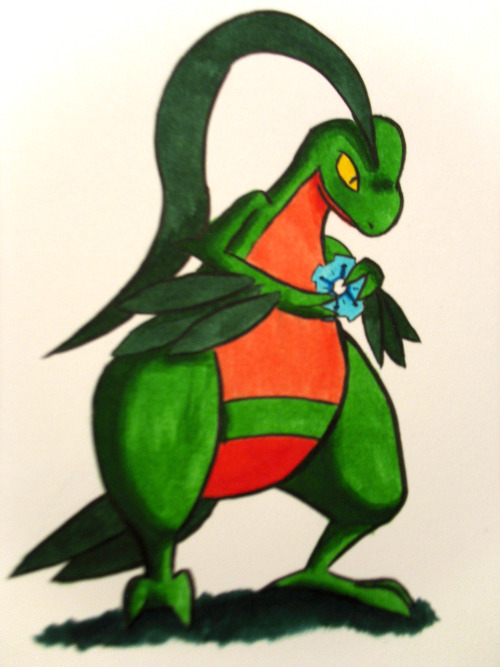 Pokecember Day 27: A Character from a Spin-Off GameMy buddy Grovyle