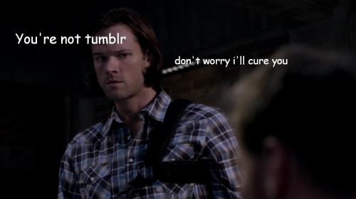 livebloggingmydescentintomadness:  masterosricchau:  When everyone logged onto Tumblr today.  