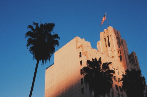 latinoking:  “Lost in Los Angeles” 🏙 