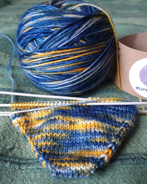 December is a time for sock knitting, apparently. These ones are luckily for me. . The yarn is @kelp