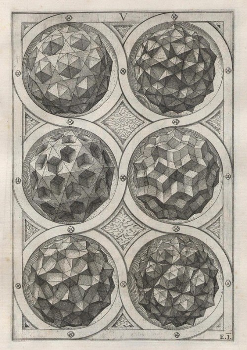 cassiatsura:  perspectiva corporum regularium by Wenzel Jamnitzer 