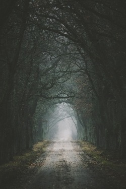 0rient-express:  Gravel avenue | by Mikael