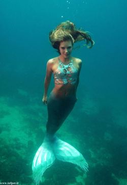 crassetination:  Mermaids 01 