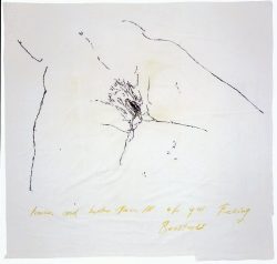 hydra-nymph:  Tracey Emin: Harder and Better, 2007 (patchwork) 