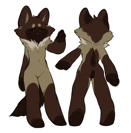 rabbitfears:  Some npc cat pelts wooo yaah 