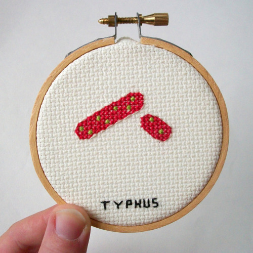 whoiusedtobe:nevver:Cross-stitched MicrobesE. coli rarely form flagellae The flu virus is roun