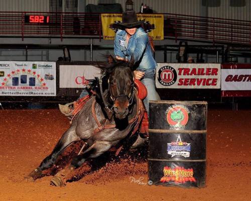 A Dash Ta Streak(A Streak Of Fling x Silver Creek Dash)2010 Bay Roan AQHA Stallion