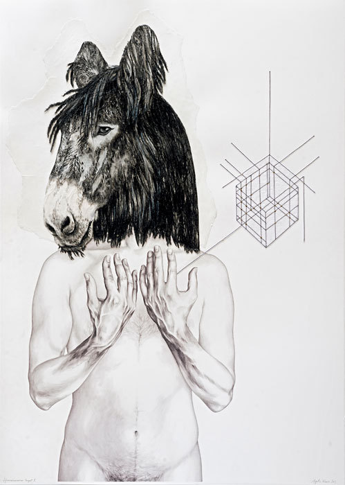 Illustrations by Agata Kawa