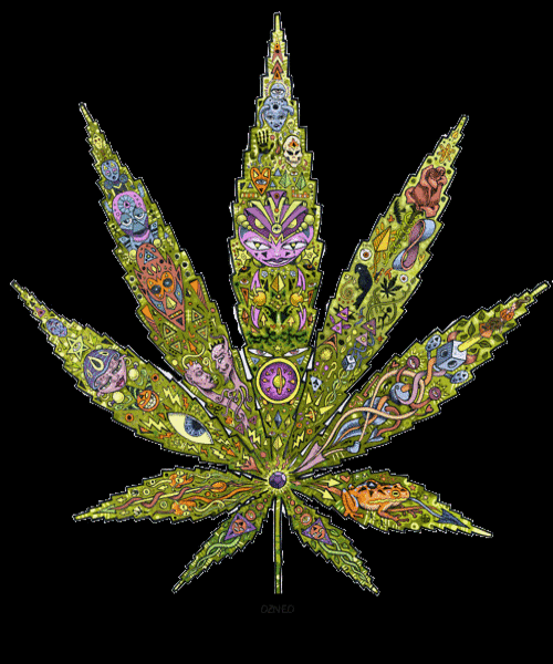 thecannabismoment:  Marijuana gif