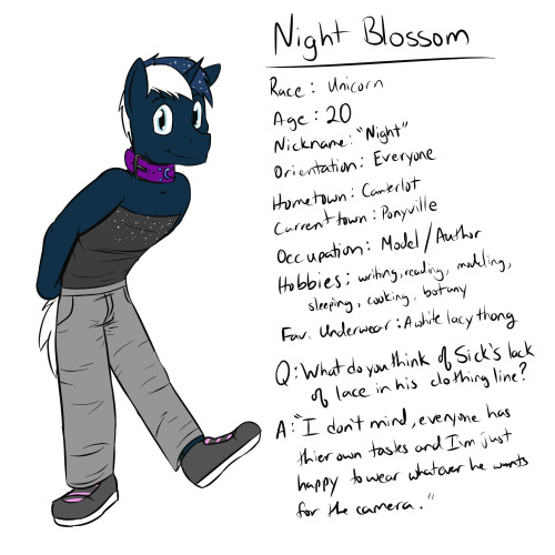 Another Round of Meet the Models.  Got some of my personal OCs in there as well.  Fuze Box, Wave Length, Written Waiver, Black Fury, Night Blossom, and Carnelian.  All ponies that have been in one of Sick’s photo shoots or events before.