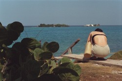 daniela-jacobs:  R’s sneaky shot of me, admiring the sea (isla grande, colombia;  last month) 