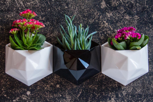 everything-creative:Planters for your wallThese geometric shaped wall planters are designed to bring