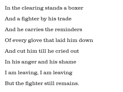 The Fighter