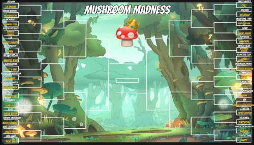 🍄 MUSHROOM MADNESS BRACKET🍄