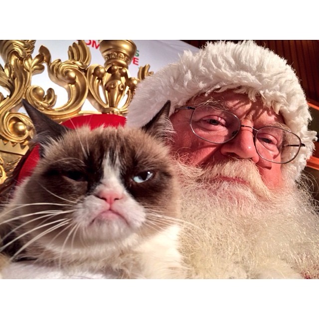 Grumpy Cat has a Christmas song. It's terrible. https://youtu.be/06GhXB2_XNE?a