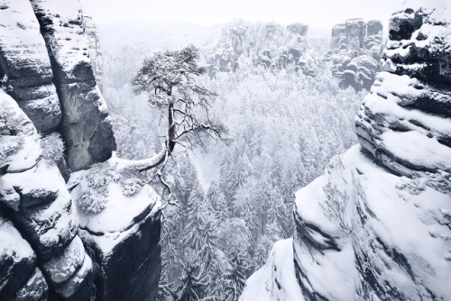 itscolossal: Frozen Landscapes Tell a Winter’s Tale in New Photographs by Kilian Schönber