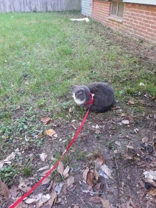 A perfect loaf form, in the great outdoors.