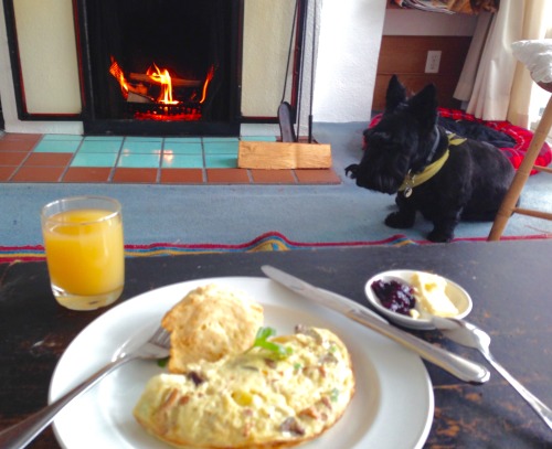 Breakfast in Sooke: omelette, scone, fresh apple juice, fireplace, Scottie dog.