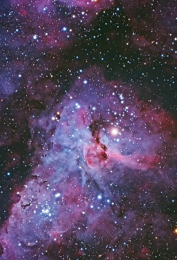 thedemon-hauntedworld:  NGC3372 The Keyhole Nebula credit irargerich