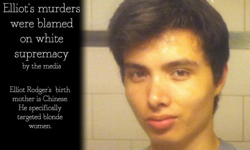 logicd:  alternaterealitygame:  Do you only trust the media when it’s bashing white people? They’re claiming Elliot Rodger identified as white, even though he identified as “Eurasian” in his writing. They’re calling it white privilege. This