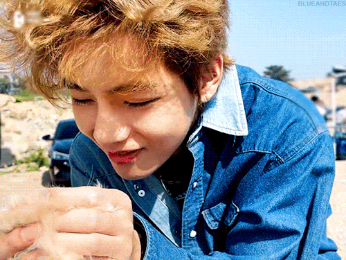 Dog Life Goals:to Be Called A Cutie By Kim Taehyung Status: Achieved