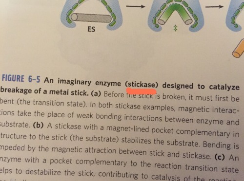 I’m gonna fuckign punch the textbook author for this