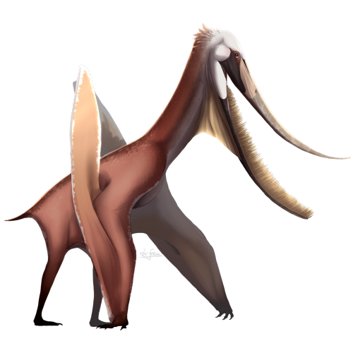 aerisopteryx: More pterosaurs!