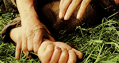ohfili:lord of the rings + hands