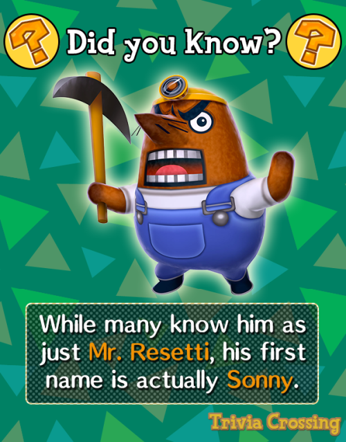 Animal Crossing Media: Photo