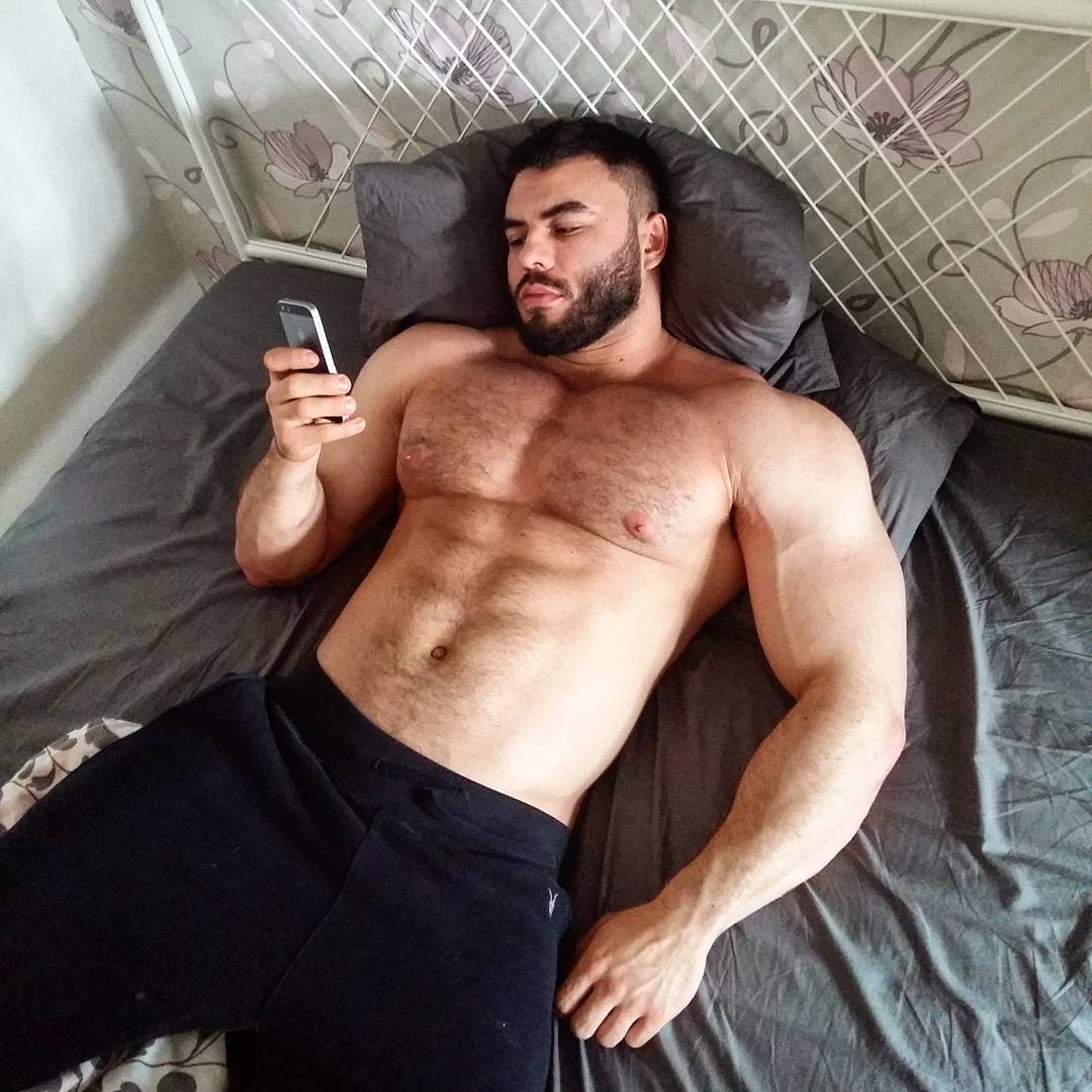 oerbadia dafei