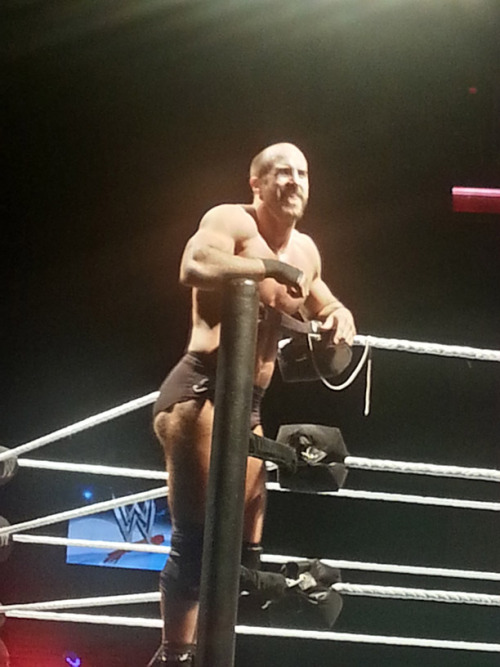 Porn Pics romulusreigns:  WWE Live 01/31/14  So much