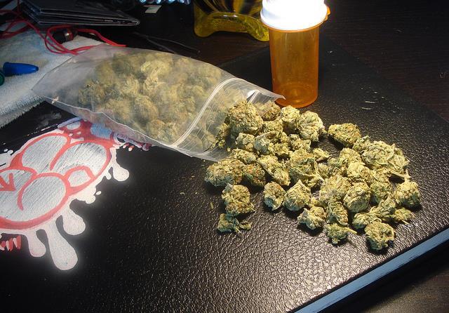 The Cannabis Queen