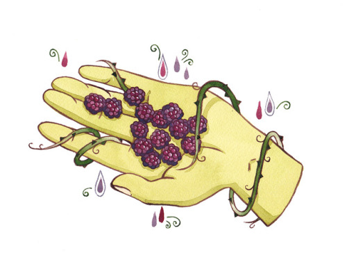 Summer Fruits 4/5: Blackberry !