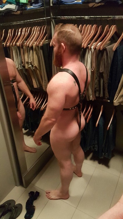 http://harvzilla.tumblr.com/post/138746955727