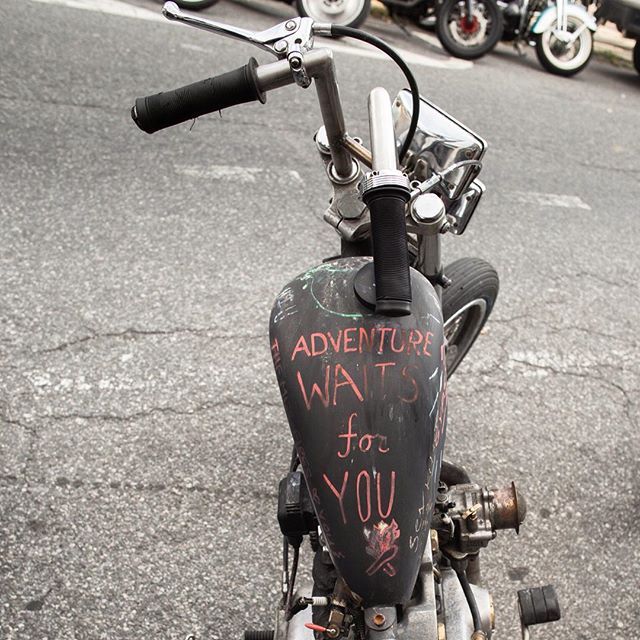 allcityplague:  @lsd.collective 
