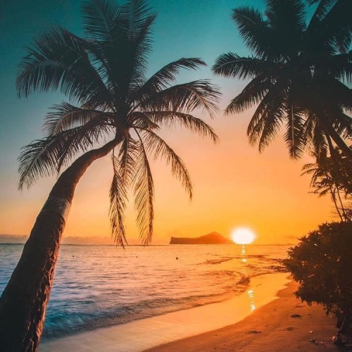 beautifulandfantastic:  Dreaming of Hawaiian Sunsets  by crisp_artography  