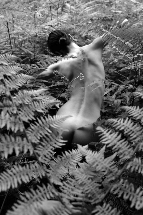 desdemona-d: Correre nel bosco per immaginare dove infrattarsi col lupo.HardCandyPhoto Stanko Abadzi