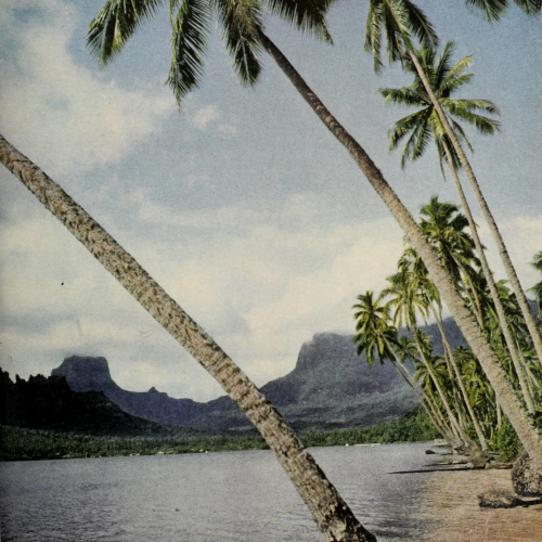 Tahiti. Sunset. March 1964.Internet Archive
