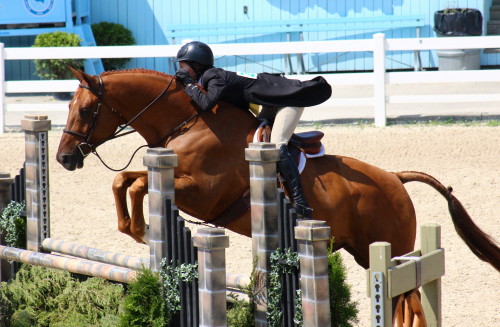 twohearts-onemind:  Zazou and Quinn Larimer National Junior Hunter Finals Summer ‘14